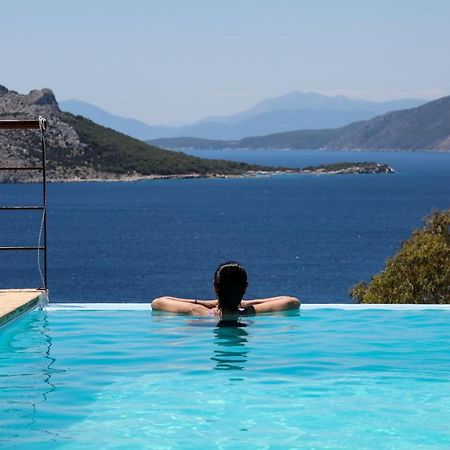 Eucalyptus Villa Aegina Zewnętrze zdjęcie