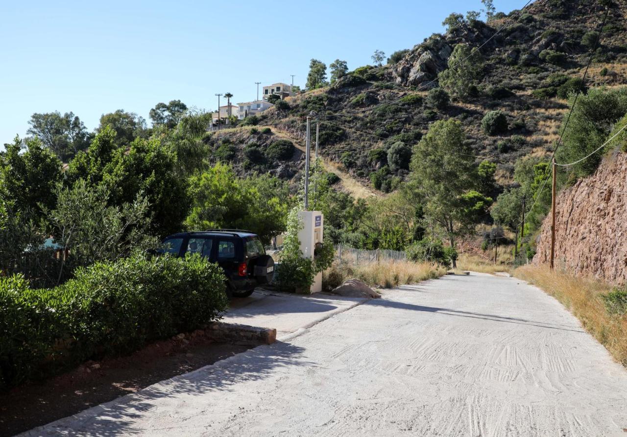 Eucalyptus Villa Aegina Zewnętrze zdjęcie