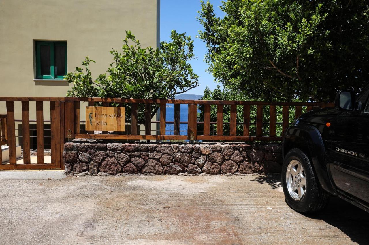 Eucalyptus Villa Aegina Zewnętrze zdjęcie