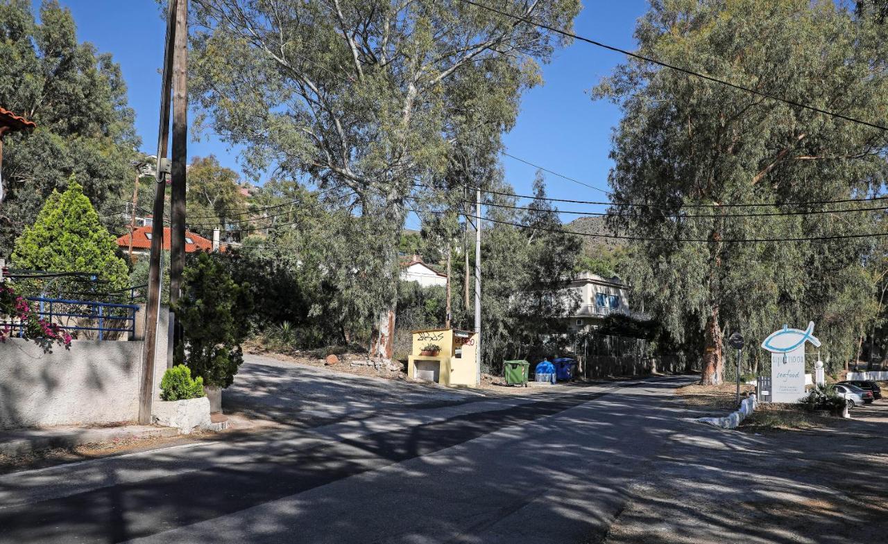 Eucalyptus Villa Aegina Zewnętrze zdjęcie