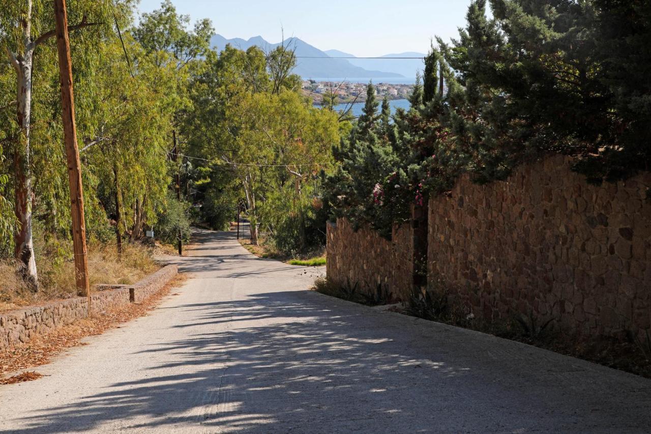 Eucalyptus Villa Aegina Zewnętrze zdjęcie